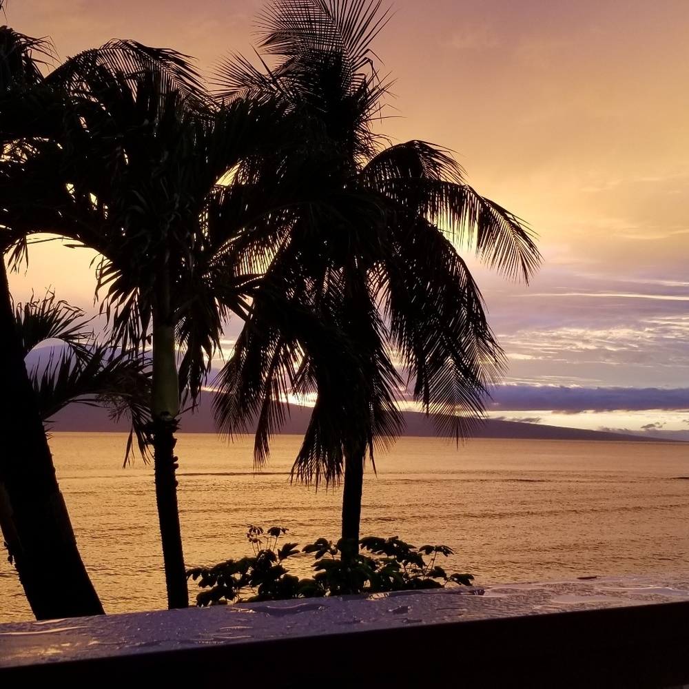 Meet your Posher, Kathleen